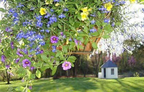 Chestnut Hill Bed & Breakfast Orange Buitenkant foto